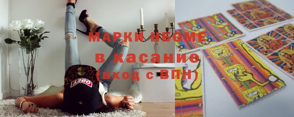 индика Янаул