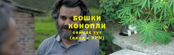 сатива Кодинск