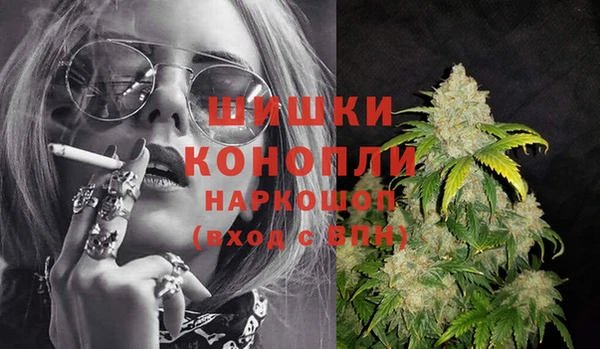 сатива Кодинск