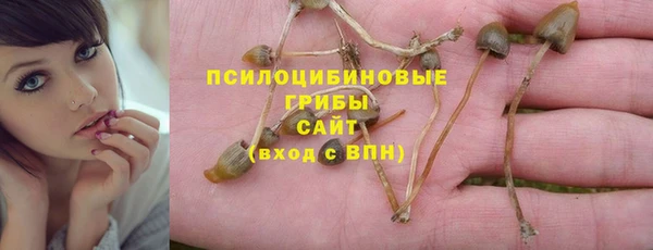 сатива Кодинск