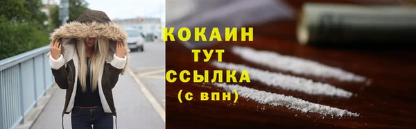 индика Янаул