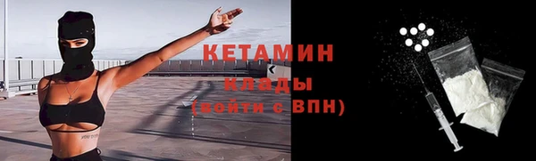 сатива Кодинск