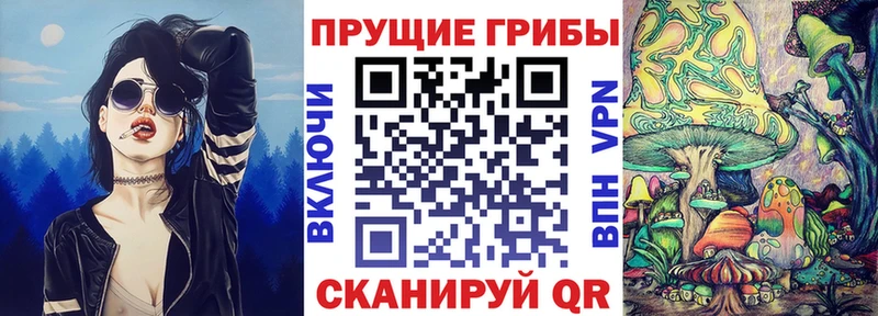 Купить где  Новоалтайск  Галлюциногенные грибы ЛСД 
